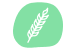 Wheat Free